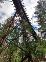 Hansen bridge viewed from the bottom of the valley